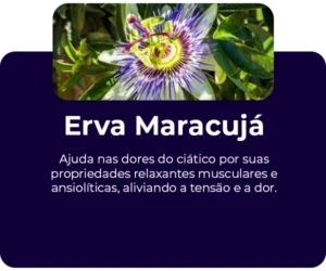 Erva-maracuja-passiflora-ingrediente.webp