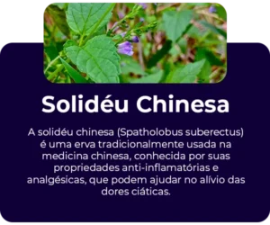 Solideu-Chinesa.webp